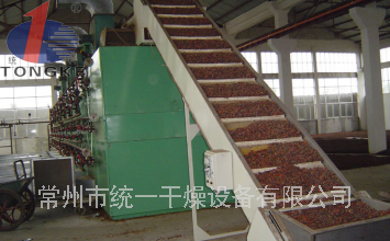 杏子果脯专用干燥机/干燥设备装置